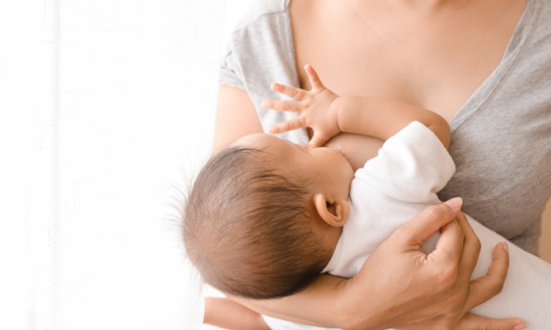Trẻ sơ sinh có hệ thống miễn dịch và các phân tử chống nhiễm trùng được gọi là kháng thể được truyền từ mẹ sang con qua sữa mẹ