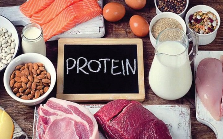 Protein chứa chất chống oxy hóa quan trọng giúp xây dựng hệ thống miễn dịch ở trẻ em