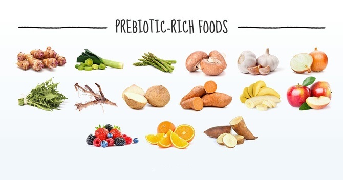 Prebiotic nuôi dưỡng Vi khuẩn đường ruột có khả năng mạnh mẽ bảo vệ cơ thể chống lại nhiễm trùng